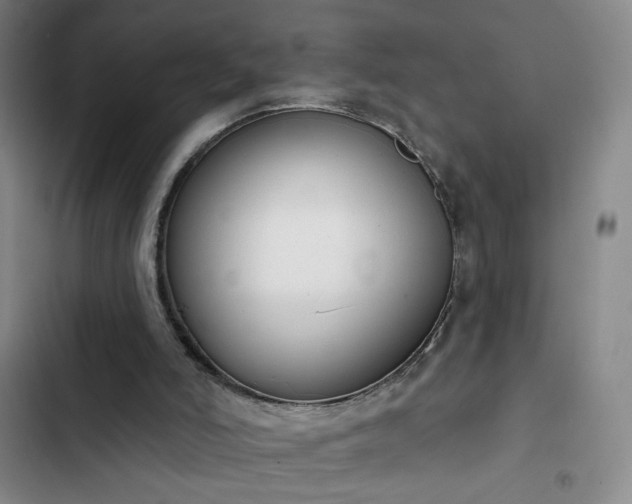 X0000102850006200808251213