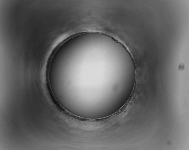 X0000102850008200808251213