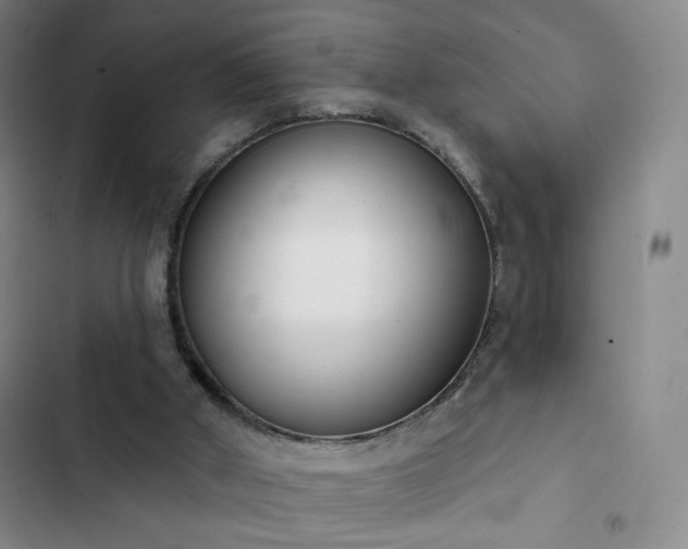 X0000102850010200808251213