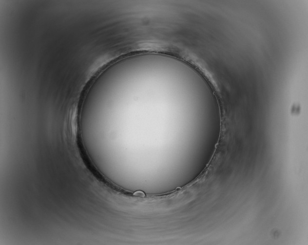 X0000102850011200808251213