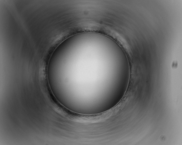 X0000102850017200808251213