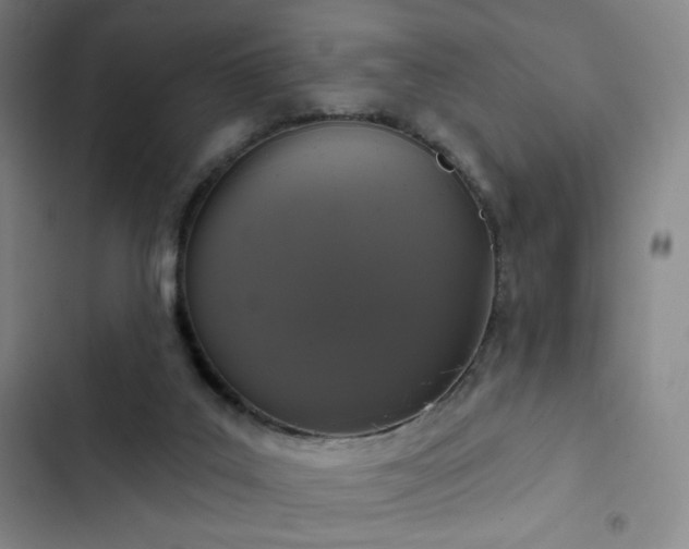 X0000102850019200808251213