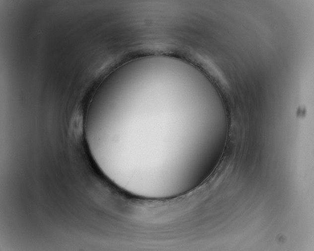 X0000102850021200808251213