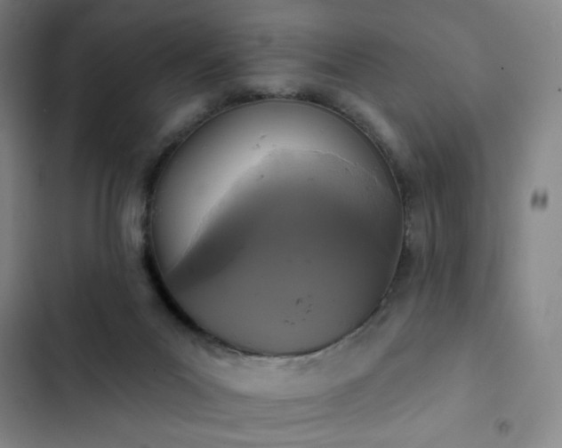 X0000102850023200808251213