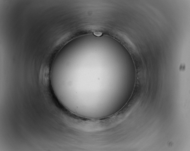 X0000102850024200808251213