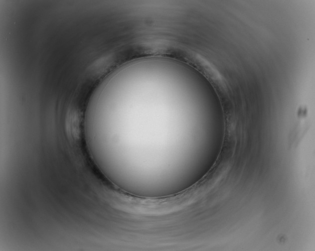 X0000102850026200808251213