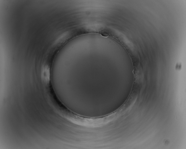 X0000102850027200808251213