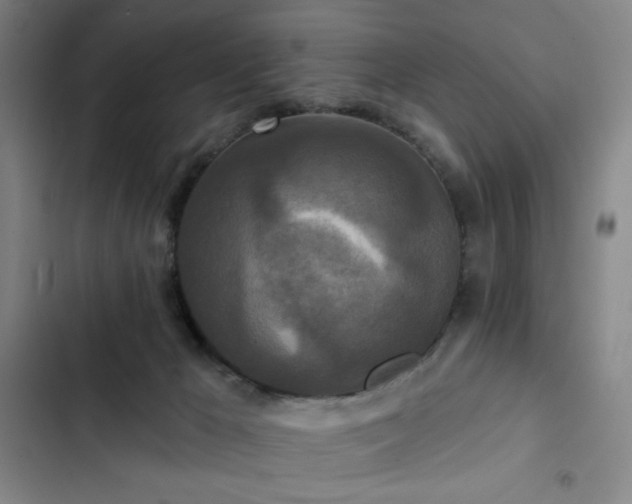 X0000102850029200808251213