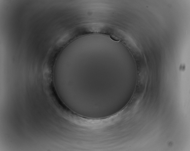 X0000102850031200808251213