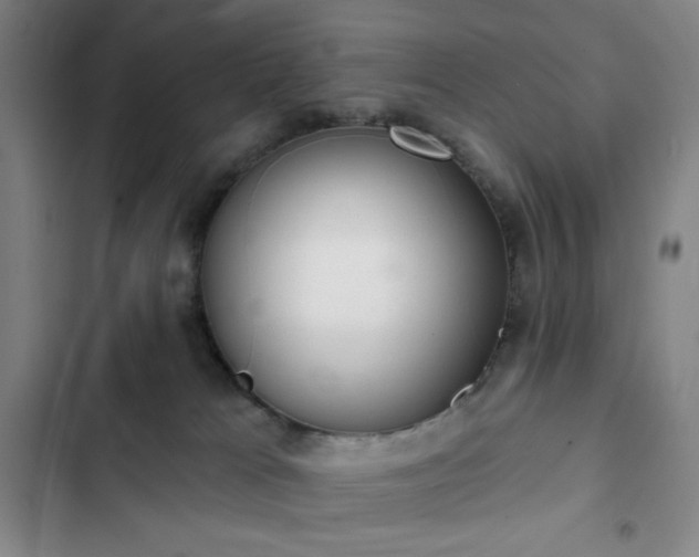 X0000102850037200808251213