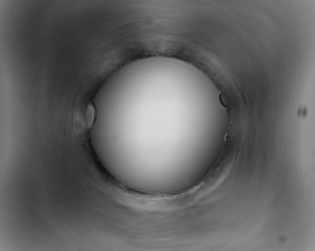 X0000102850040200808251213