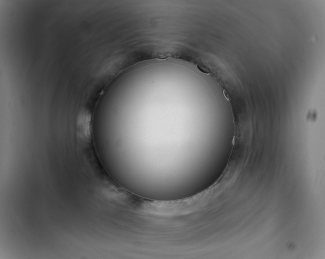 X0000102850041200808251213