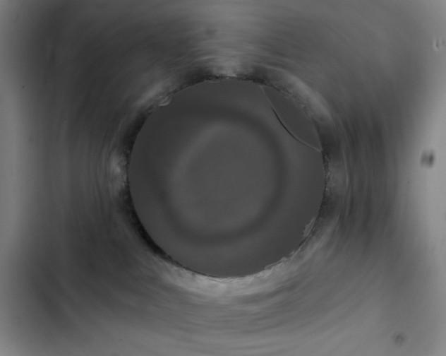 X0000102850043200808251213