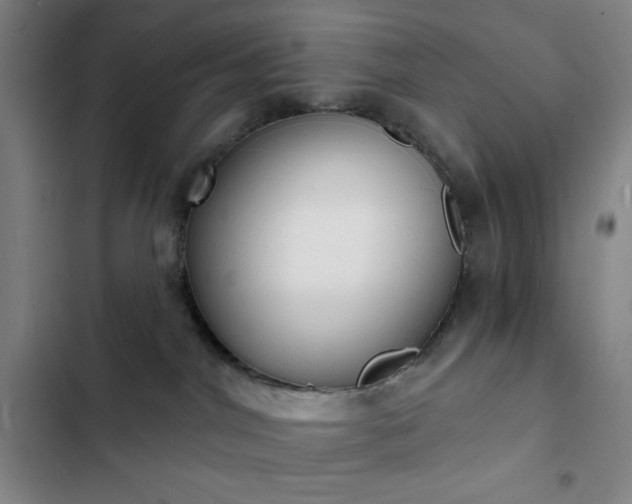 X0000102850044200808251213