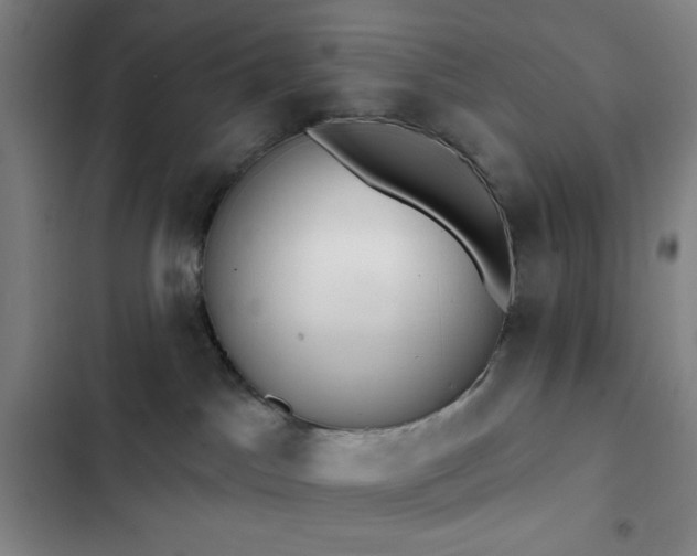 X0000102850045200808251213