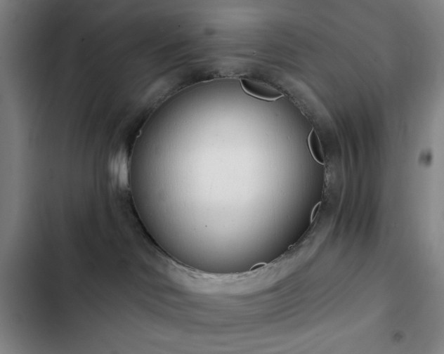 X0000102850046200808251213