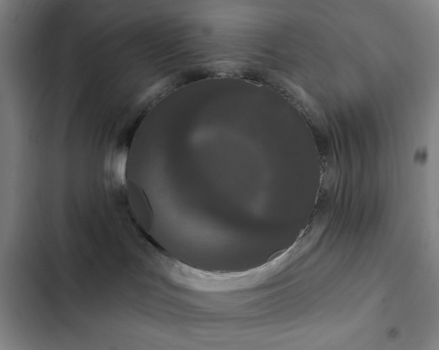 X0000102850047200808251213