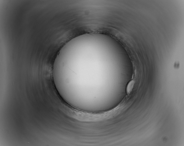 X0000102850048200808251213