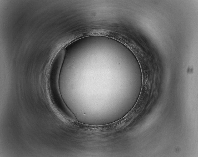 X0000102850049200808251212