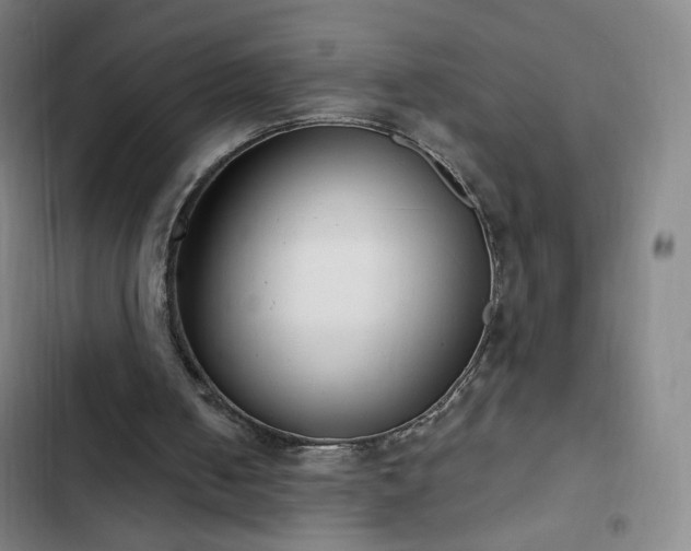 X0000102850050200808251212