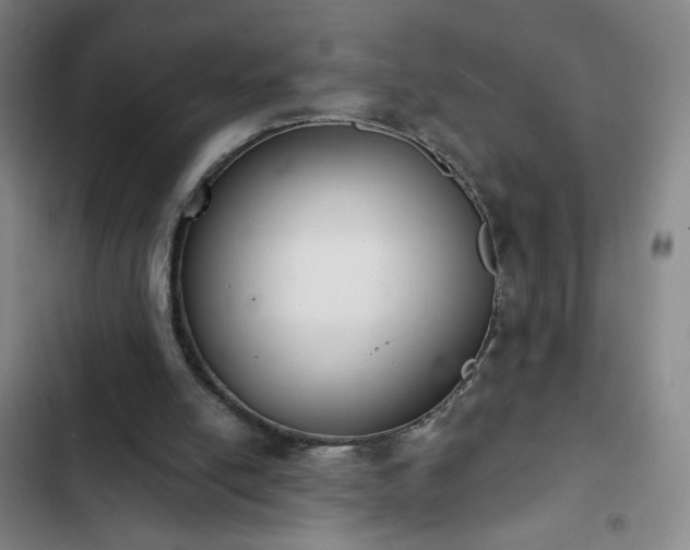 X0000102850054200808251212
