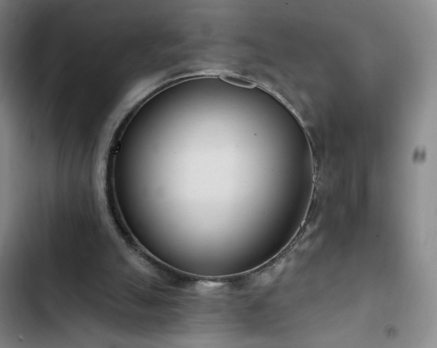 X0000102850055200808251212