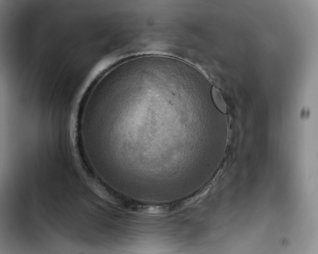 X0000102850056200808251212