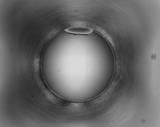 X0000102850057200808251212