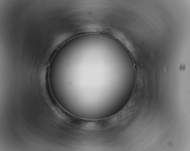X0000102850058200808251212
