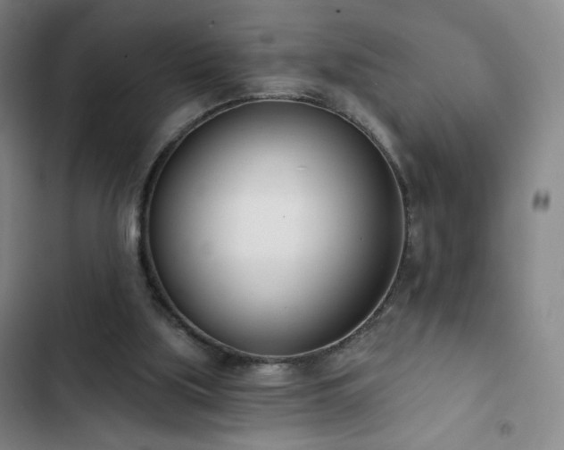 X0000102850059200808251212