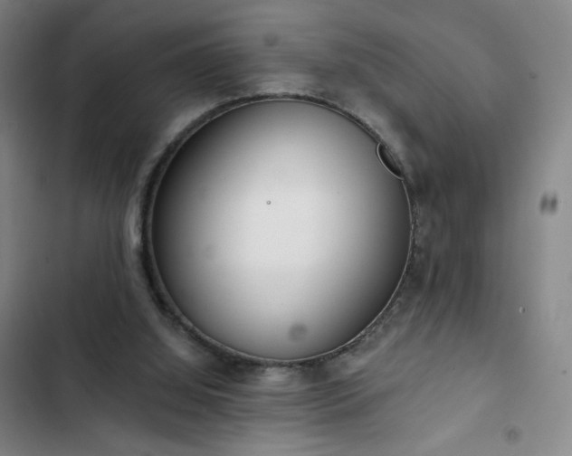 X0000102850060200808251212