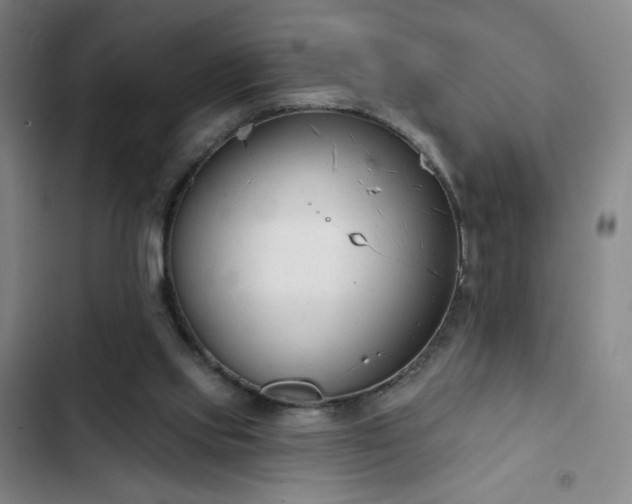 X0000102850061200808251212