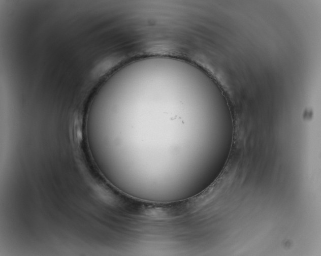 X0000102850062200808251212