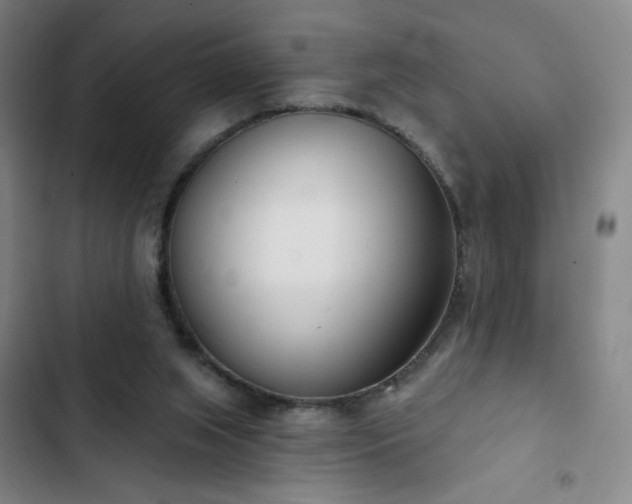 X0000102850063200808251212
