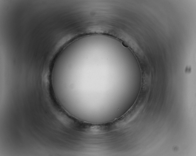 X0000102850064200808251212