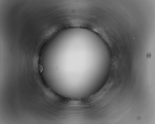 X0000102850066200808251212