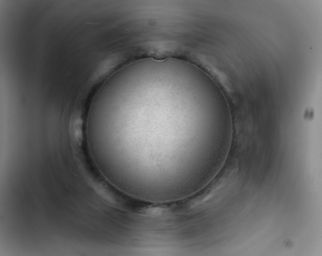X0000102850067200808251212