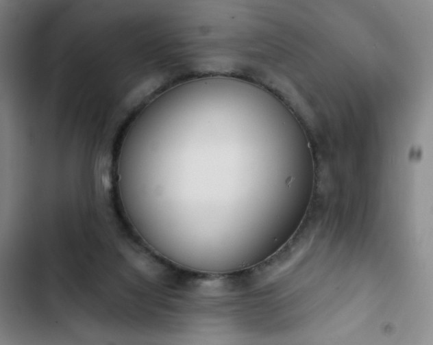 X0000102850068200808251212
