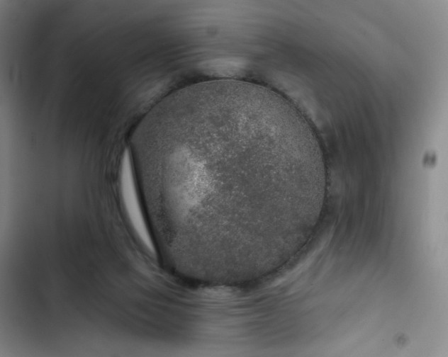 X0000102850069200808251212