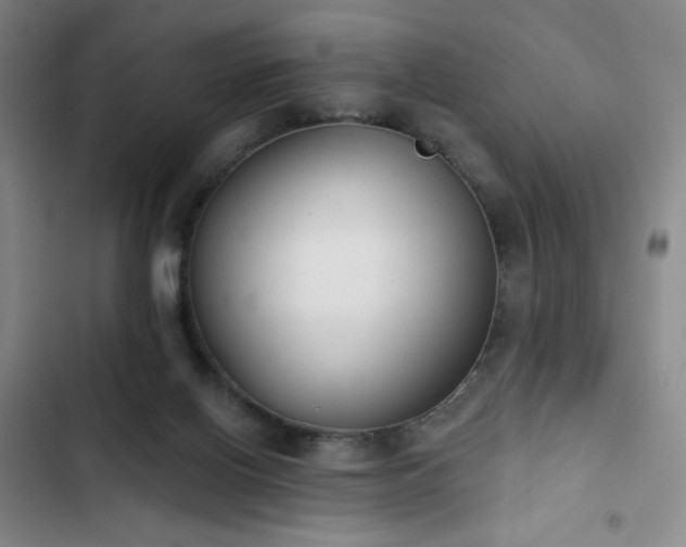 X0000102850070200808251212