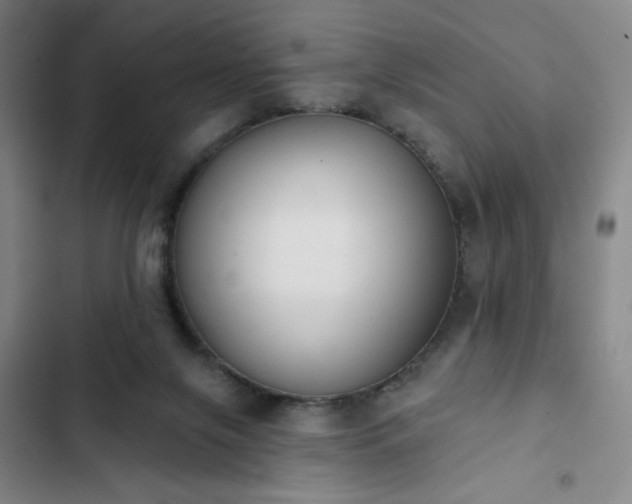 X0000102850071200808251212