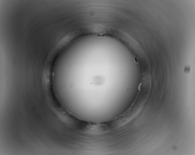 X0000102850072200808251212