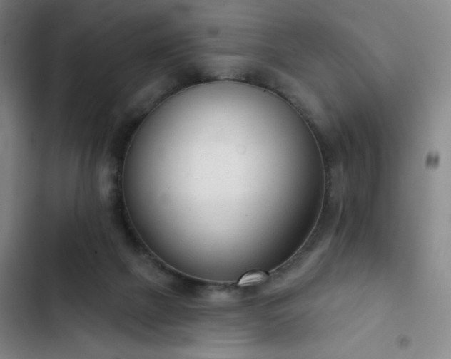 X0000102850073200808251212