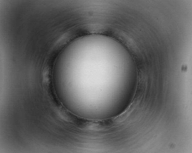 X0000102850074200808251212