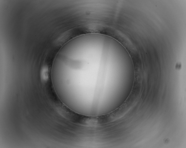 X0000102850075200808251212