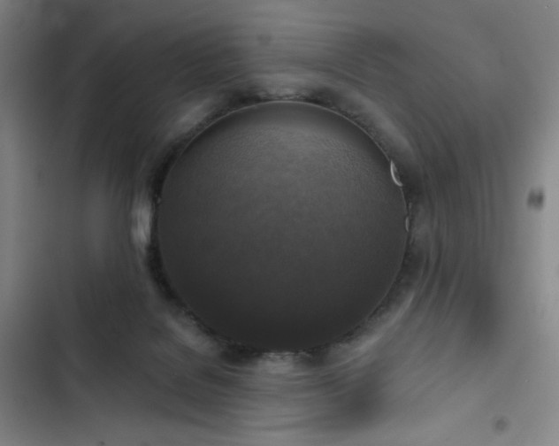 X0000102850076200808251212