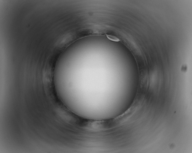 X0000102850078200808251212
