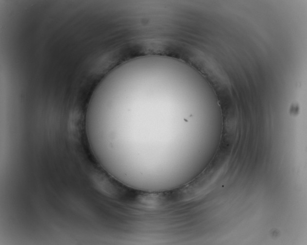 X0000102850079200808251212