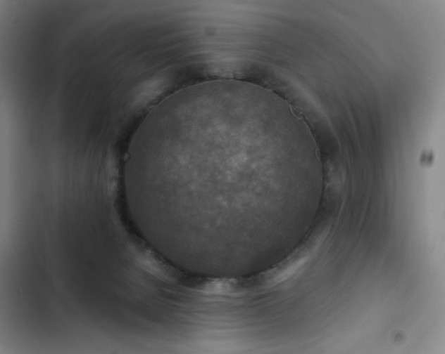 X0000102850080200808251212