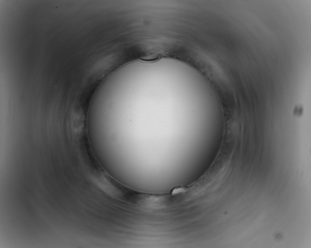 X0000102850081200808251212